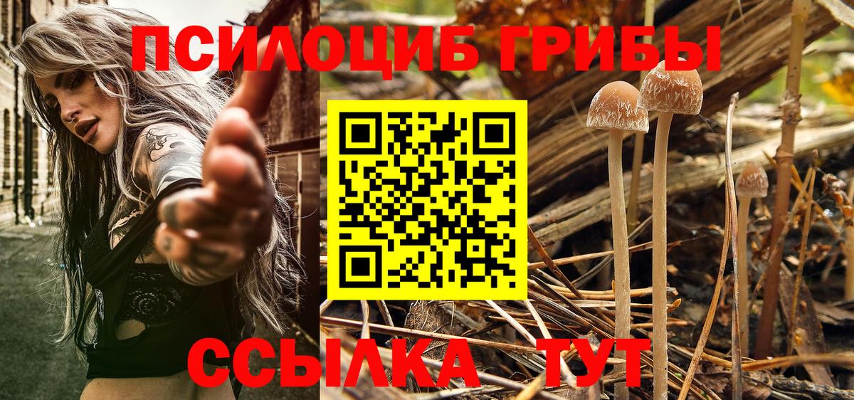 Похвистнево  Псилоцибиновые грибы мухоморы  Псилоцибиновые грибы Psilocybine cubensis  Вход с VPN 